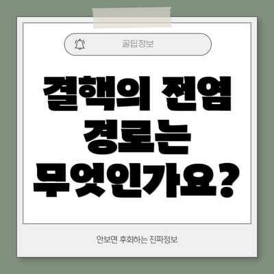 결핵의 전염 경로는 무엇인가요?