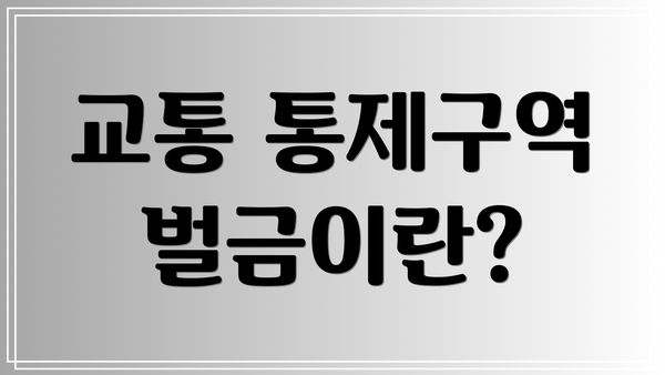 교통 통제구역 벌금이란?