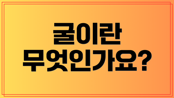 굴이란 무엇인가요?