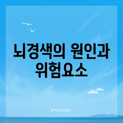뇌경색의 원인과 위험요소
