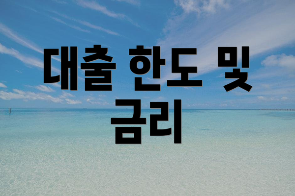 대출 한도 및 금리