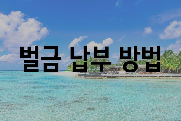 벌금 납부 방법