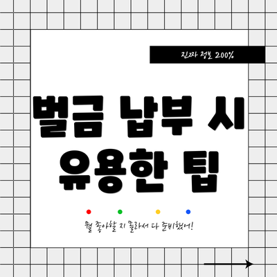 벌금 납부 시 유용한 팁