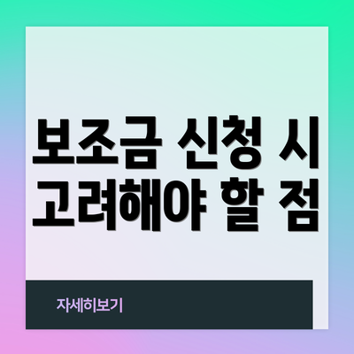 보조금 신청 시 고려해야 할 점