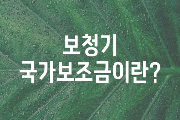 보청기 국가보조금이란?