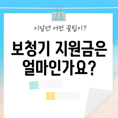 보청기 지원금은 얼마인가요?