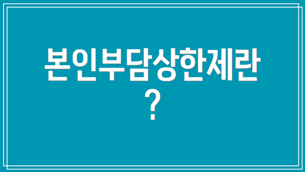 본인부담상한제란?