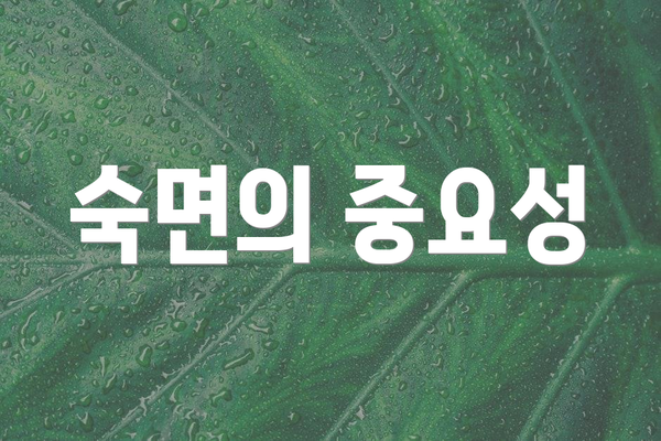 숙면의 중요성