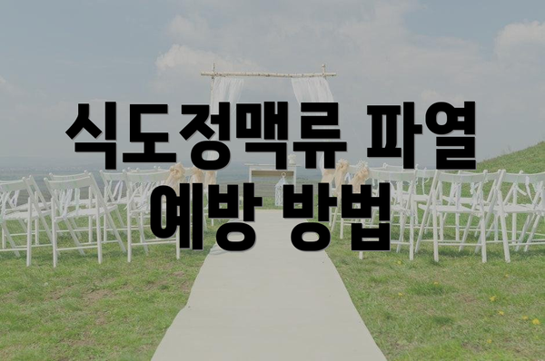 식도정맥류 파열 예방 방법