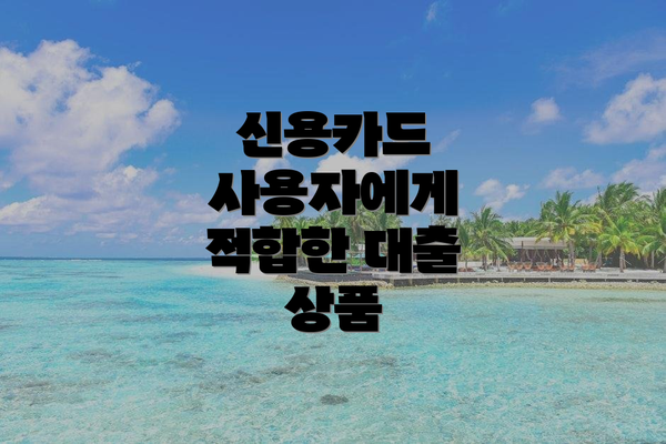 신용카드 사용자에게 적합한 대출 상품