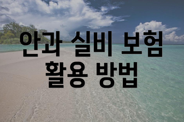 안과 실비 보험 활용 방법