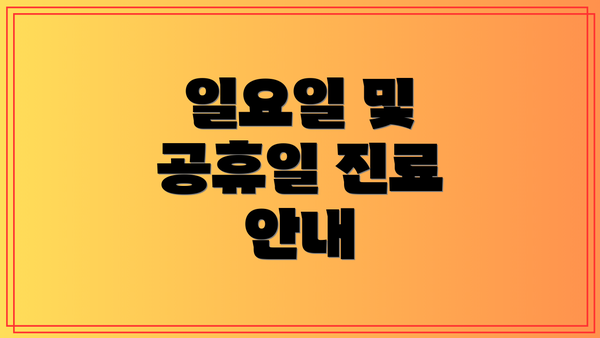 일요일 및 공휴일 진료 안내