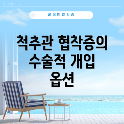 척추관 협착증의 수술적 개입 옵션