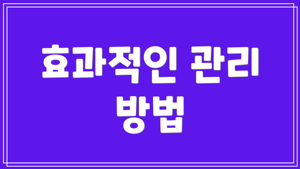 효과적인 관리 방법