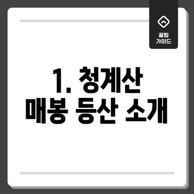 1. 청계산 매봉 등산 소개