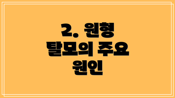 2. 원형 탈모의 주요 원인