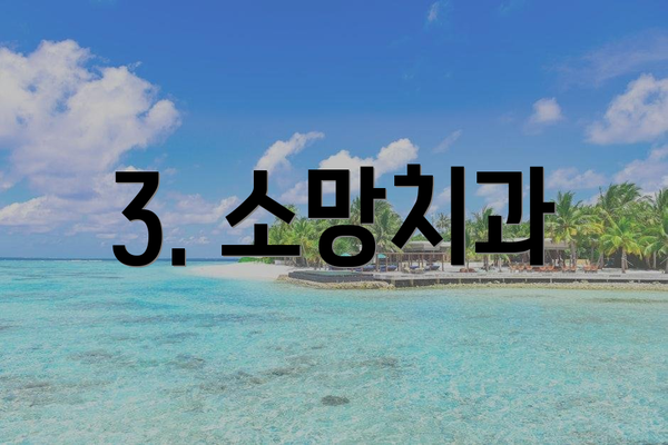 3. 소망치과