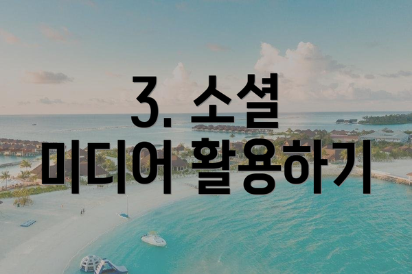 3. 소셜 미디어 활용하기