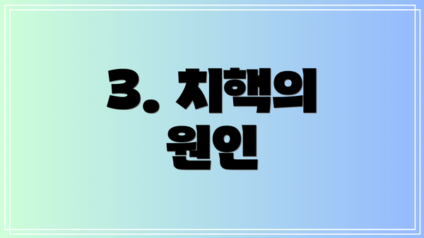 3. 치핵의 원인