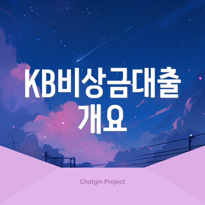 KB비상금대출 개요