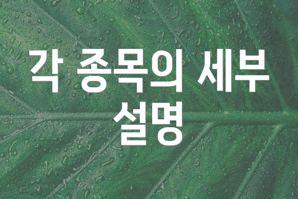 각 종목의 세부 설명