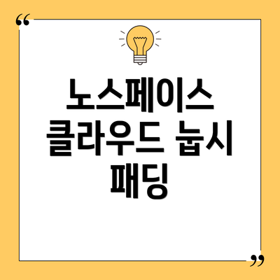 노스페이스 클라우드 눕시 패딩