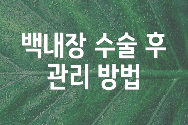 백내장 수술 후 관리 방법