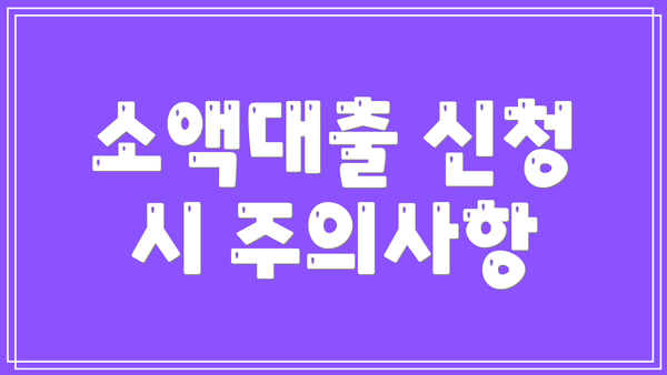 소액대출 신청 시 주의사항