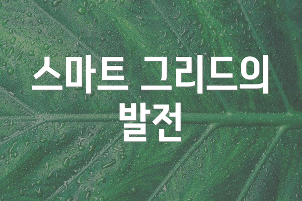 스마트 그리드의 발전