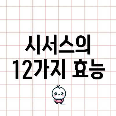 시서스의 12가지 효능