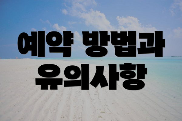 예약 방법과 유의사항