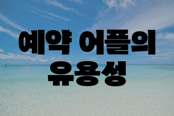 예약 어플의 유용성