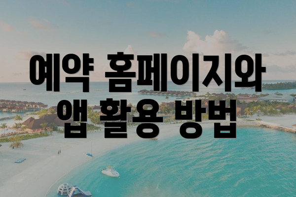 예약 홈페이지와 앱 활용 방법