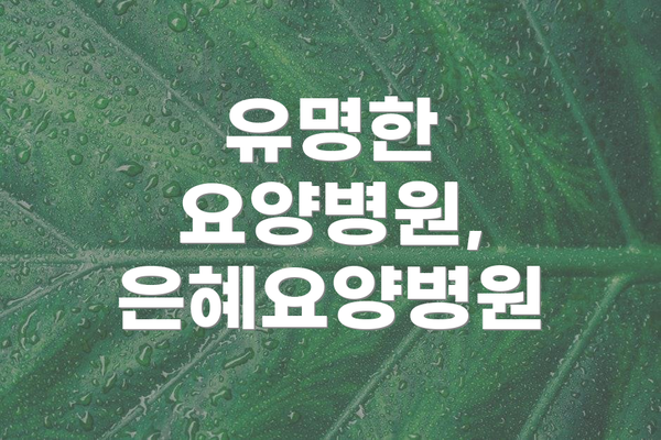 유명한 요양병원, 은혜요양병원