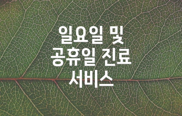 일요일 및 공휴일 진료 서비스