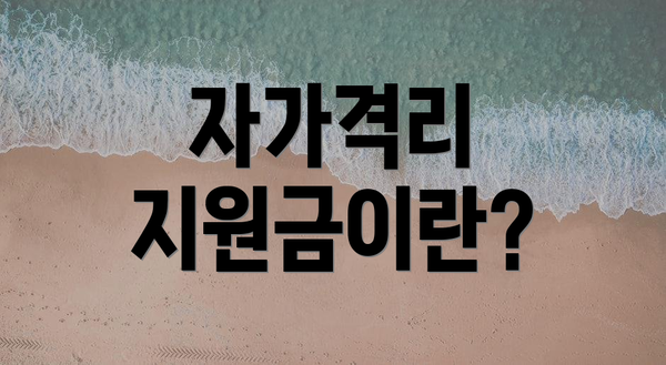 자가격리 지원금이란?