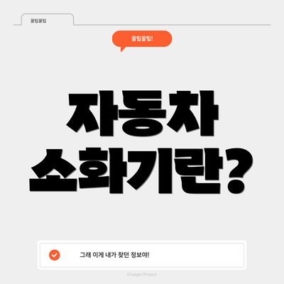 자동차 소화기란?