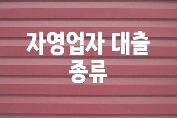 자영업자 대출 종류