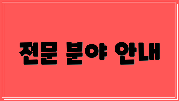 전문 분야 안내