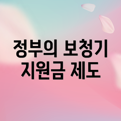 정부의 보청기 지원금 제도