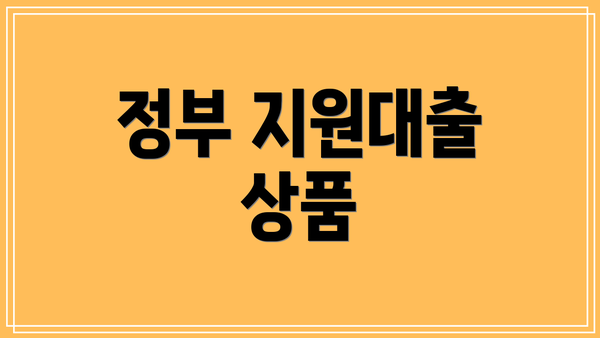 정부 지원대출 상품