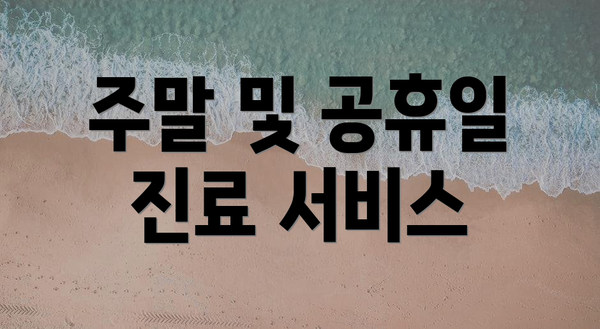 주말 및 공휴일 진료 서비스