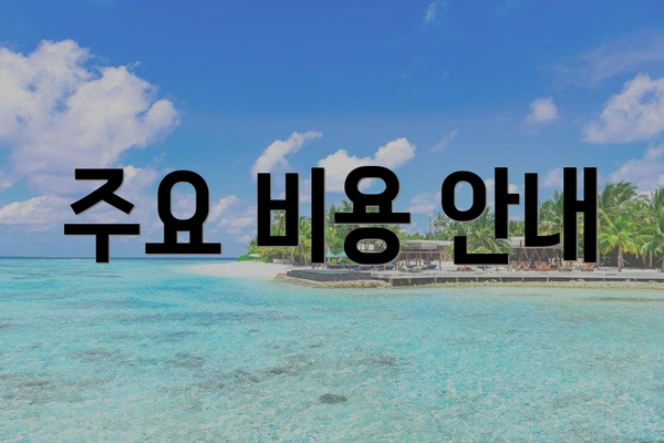 주요 비용 안내