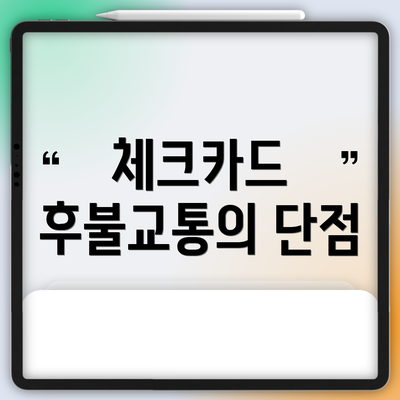 체크카드 후불교통의 단점