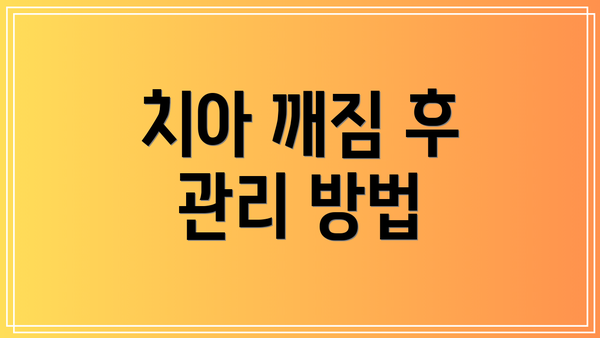치아 깨짐 후 관리 방법