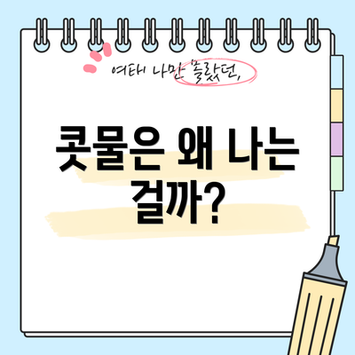 콧물은 왜 나는 걸까?