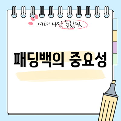 패딩백의 중요성