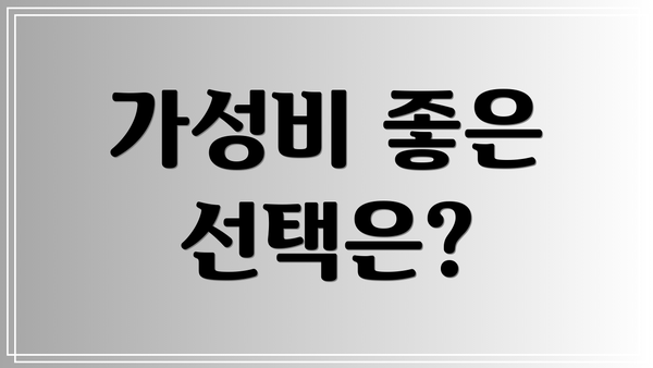 가성비 좋은 선택은?