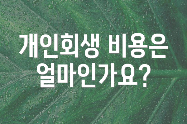 개인회생 비용은 얼마인가요?