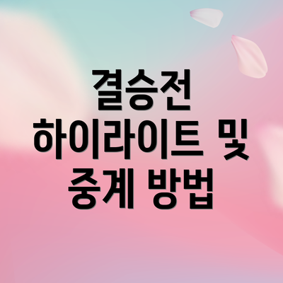 결승전 하이라이트 및 중계 방법